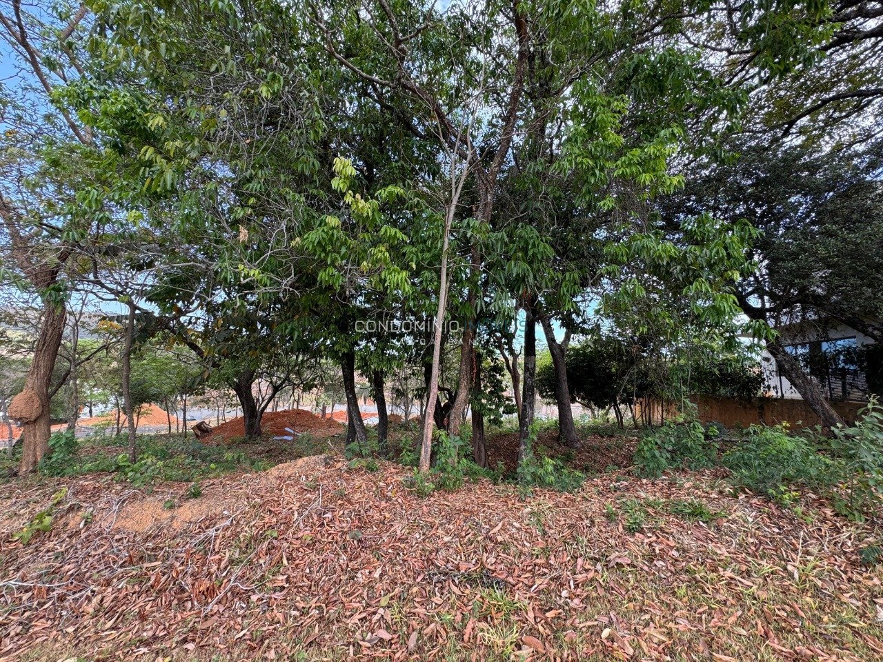 WhatsApp Image 2025-10-17 at 13.40