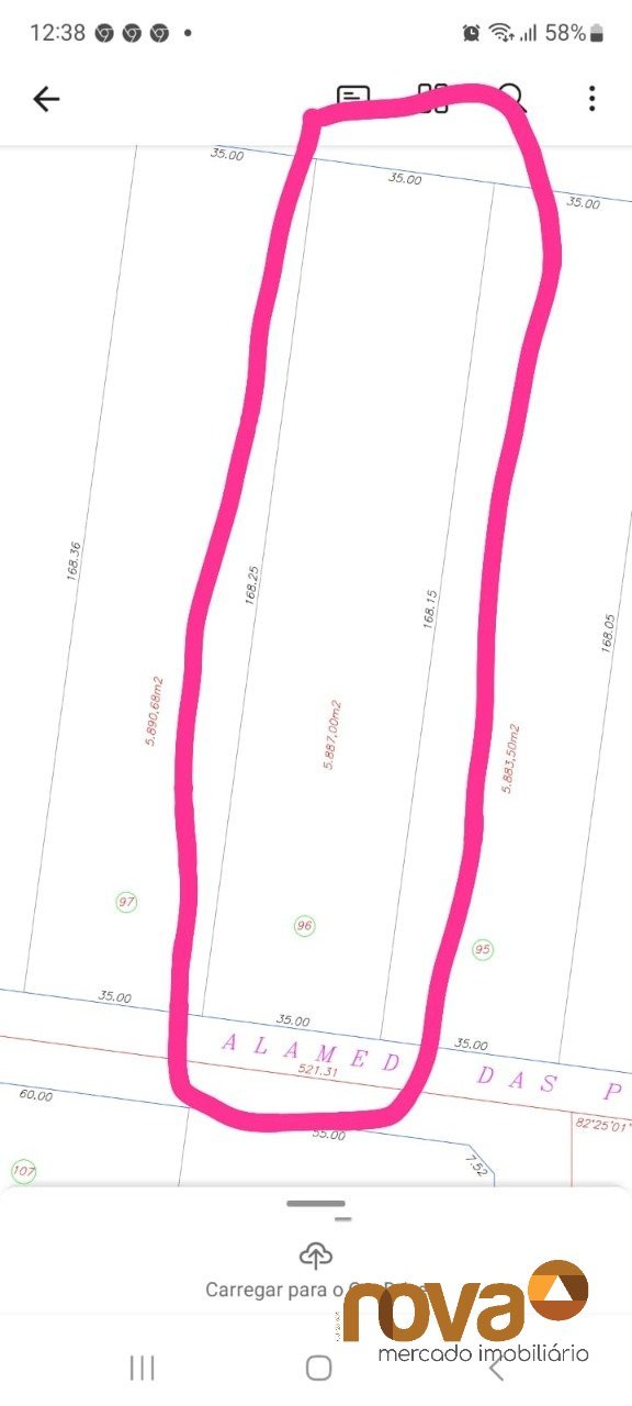 ponta kaiana marcado