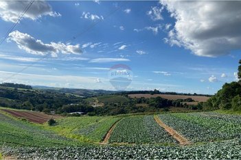 agricultural em Estrada Municipal Josephina Vicchini Alves, Campinho - Bragança Paulista - SP
