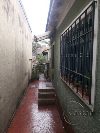 house em Avenida Luca, Chácara Mafalda - São Paulo - SP