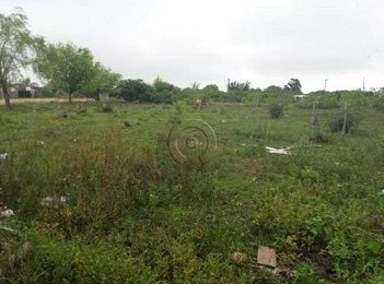 land_lot em Cinco, Santa Rita de Cássia - Rio Grande - RS