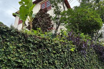 house em Rua Haia, Tauá - Rio de Janeiro - RJ