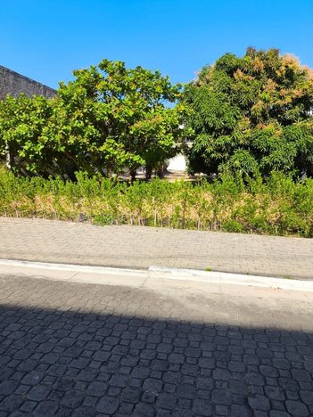 land_lot em Avenida Eusébio de Queiroz, Eusébio - Eusébio - CE