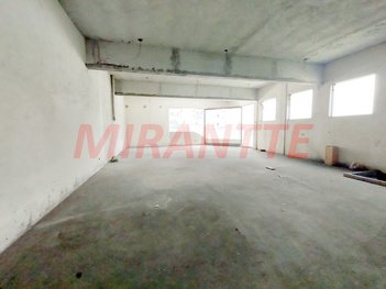 business em Pedro Doll, Santana - São Paulo - SP