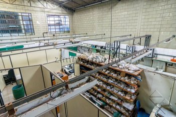 office em Rua Gutenberg D'Avila, Várzea de Baixo - São Paulo - SP