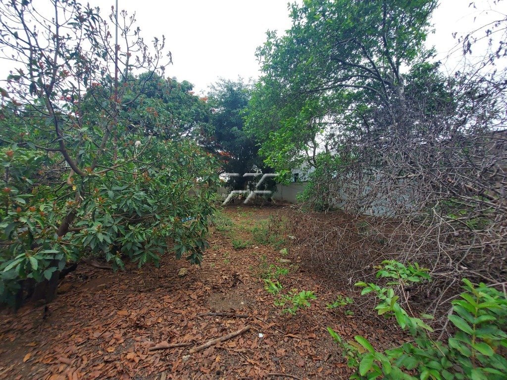 Terreno