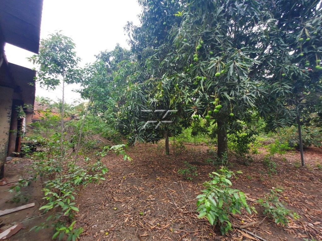 Terreno