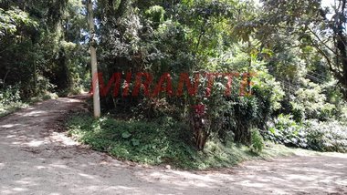 land_lot em Rua das Paineiras, Flor da Cantareira - São Paulo - SP