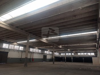 industrial em Rua Forte dos Franceses, Parque São Lourenço - São Paulo - SP