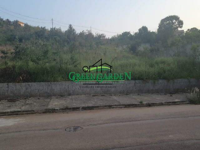 image-0