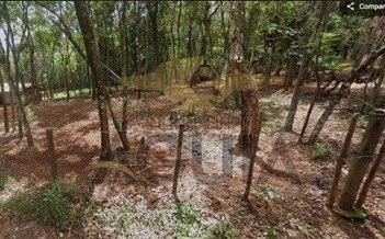 land_lot em Estrada do Engenho, São Sebastião das Águas Claras - Nova Lima - MG