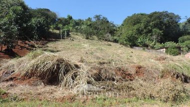 agricultural em Rua Ilha De Itaparica, Ibiporã - Ibiporã - PR