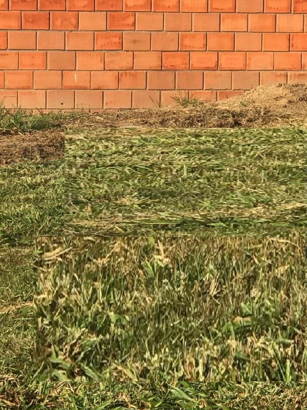 Foto 04