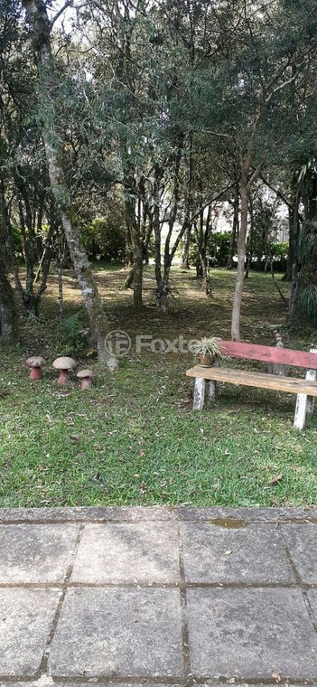 house em Rua Brunilde, São Francisco de Paula - São Francisco de Paula - RS