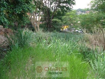 land_lot em Rua Padre Roque, Centro - Mogi Mirim - SP