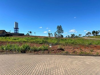 land_lot em Avenida Camélia, João Alves - Santa Cruz do Sul - RS