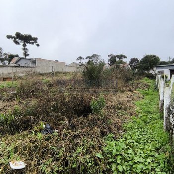 land_lot em Rua Sergino Webber Leite, Dom Rodrigo - São José dos Pinhais - PR
