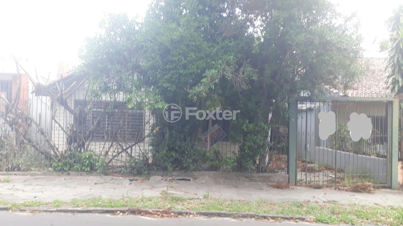 Foto 1 editada.jpg