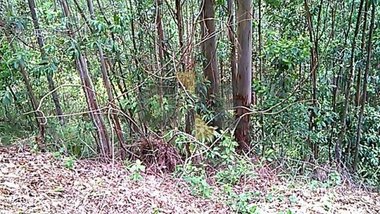 land_lot em Rua Grande Otelo, Jardim Indaiá - Embu das Artes - SP