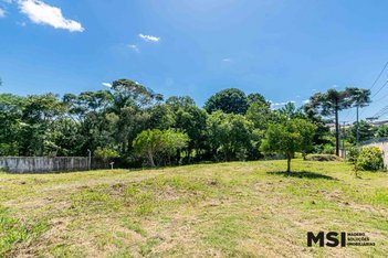 land_lot em Rua Joana Percegona Zen, Borda do Campo - São José dos Pinhais - PR