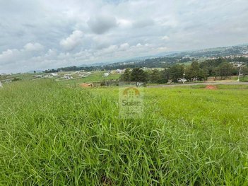 land_lot em Rodovia Oswaldo Cruz, Jardim Julieta - Taubaté - SP