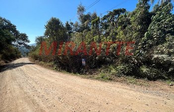 land_lot em Rua dos Eucalíptos, Flor da Cantareira - São Paulo - SP