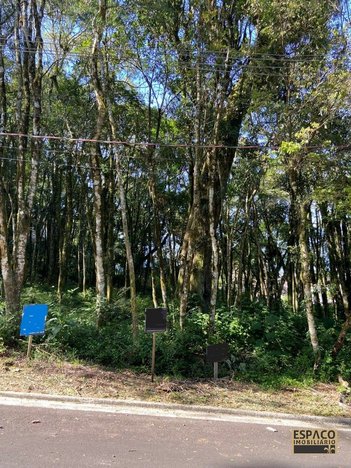 land_lot em Rua A, Floresta - Gramado - RS