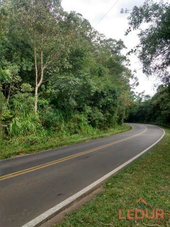 agricultural em Rodovia RS-020, São Francisco de Paula - São Francisco de Paula - RS