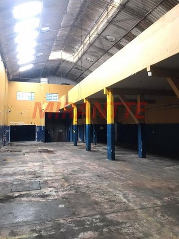 industrial em Avenida Dedo de Deus, Vila Formosa - São Paulo - SP