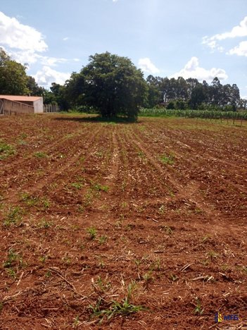 land_lot em Rua João Rodrigues da Silva, Ch��caras Reunidas Dallas - Salto de Pirapora - SP