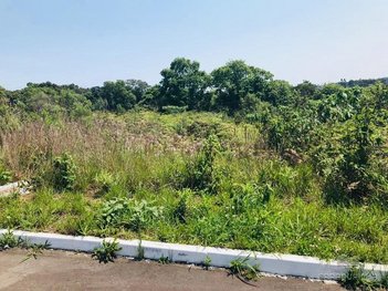 land_lot em Rua Afonso Fernandes de Mattos, Monte Verde - Farroupilha - RS