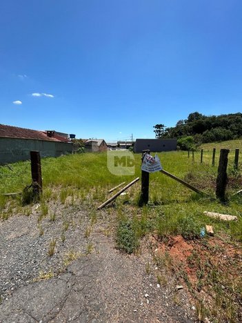 land_lot em Rua Maria Stigar Rybinski, Passaúna - Araucária - PR