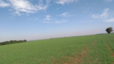 agricultural em Estrada Vicinal Dom Pedro, Centro - Itararé - SP