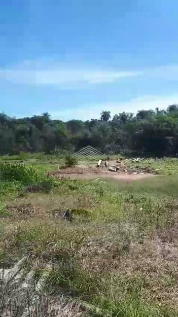 commercial_building em Rua Santo Antonio de Pádua, Angicos - Vespasiano - MG