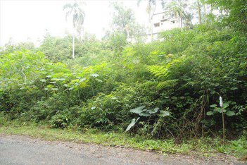 land_lot em Rua Vereda Tropical, Chácara Estela - Santana de Parnaíba - SP