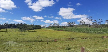 agricultural em Estrada Esmeralda, Centro - Ibiporã - PR