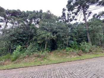 land_lot em Rua Cândido Olympio Cauduro, Ana Rech - Caxias do Sul - RS