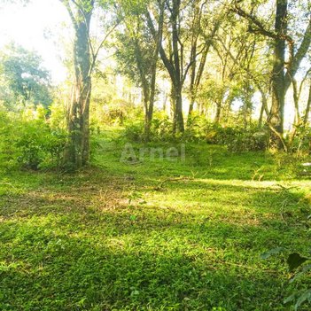 land_lot em Avenida Miguelzinho Lima, Passo Fundo - Campo Largo - PR