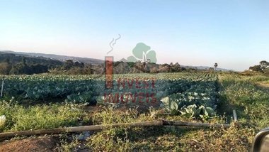 commercial_building em Estrada Maeda, Curral - Ibiúna - SP