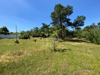 land_lot em Avenida Benedito Isaac Pires, Parque Dom Henrique - Cotia - SP