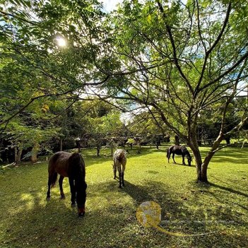 land_lot em Major Tito, Belém Velho - Porto Alegre - RS