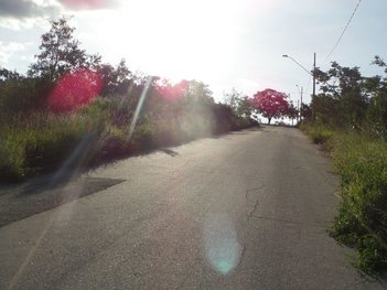land_lot em Rua Rodrigo de Souza Silveira, Residencial Lagoa Park - Divinópolis - MG