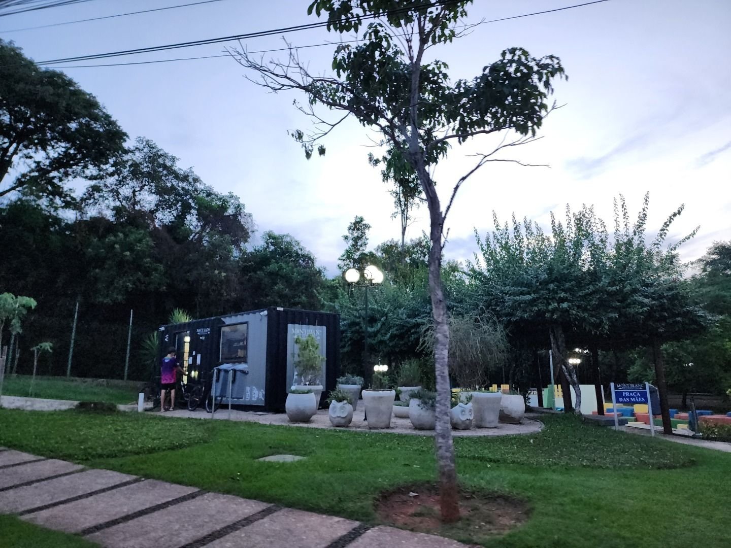 image-2