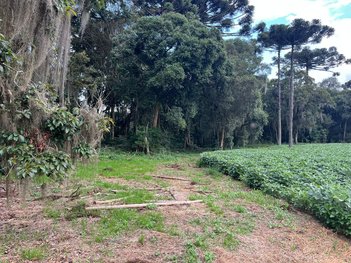 land_lot em Rua João Kosiak, São Marcos - São José dos Pinhais - PR