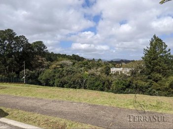 land_lot em Estrada das Três Meninas, Vila Nova - Porto Alegre - RS