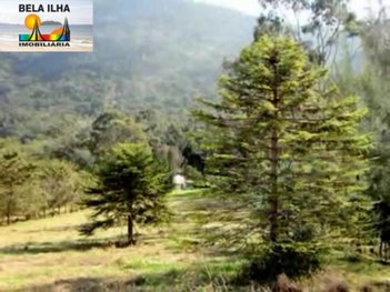 land_lot em Rua Manoel Petronilho da Silveira, São João do Rio Vermelho - Florianópolis - SC