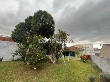 land_lot em Rua João Batista Mendes, Cambuí - Campo Largo - PR
