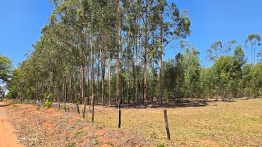 agricultural em Avenida Zilá Corrêa Machado, Tiradentes - Campo Grande - MS