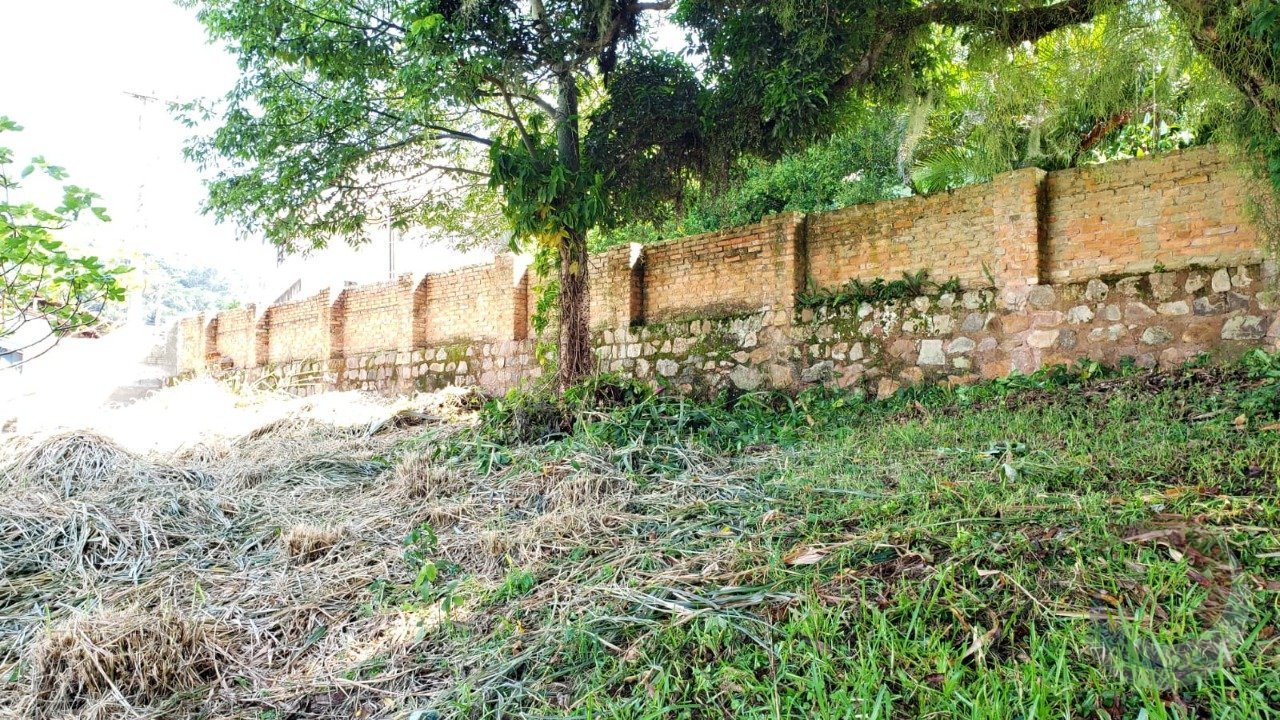 terreo1