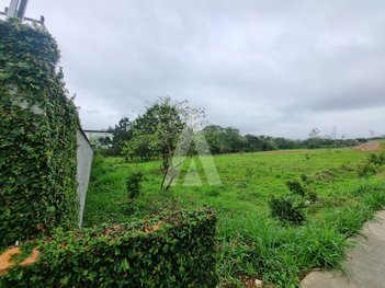 land_lot em Avenida Santos Dumont, Santo Antônio - Joinville - SC